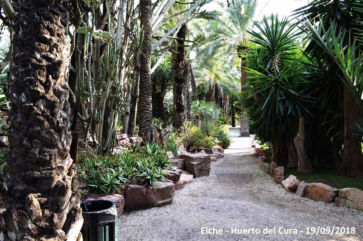 19 ELCHE HUERTO DEL CURA (123).JPG
